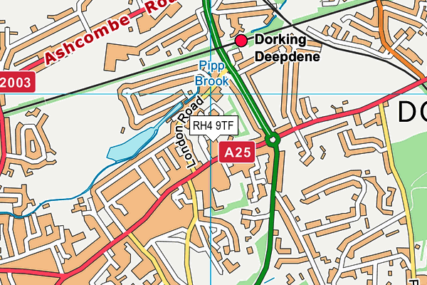 RH4 9TF map - OS VectorMap District (Ordnance Survey)