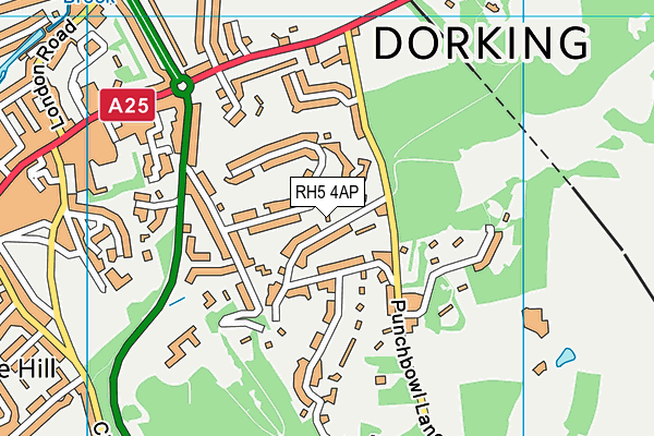 RH5 4AP map - OS VectorMap District (Ordnance Survey)