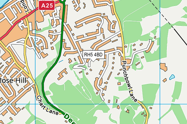 RH5 4BD map - OS VectorMap District (Ordnance Survey)