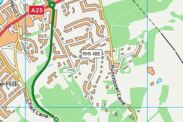 RH5 4BE map - OS VectorMap District (Ordnance Survey)