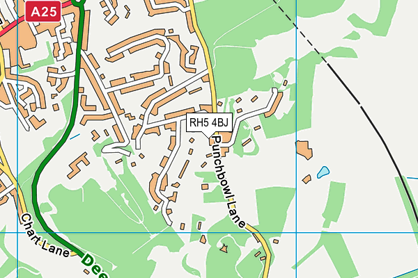 RH5 4BJ map - OS VectorMap District (Ordnance Survey)