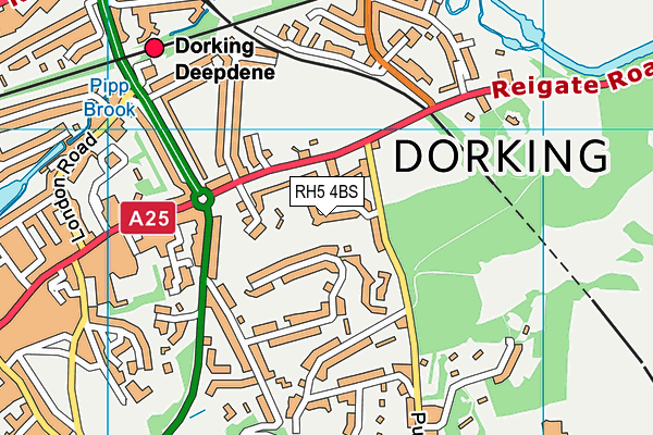 RH5 4BS map - OS VectorMap District (Ordnance Survey)