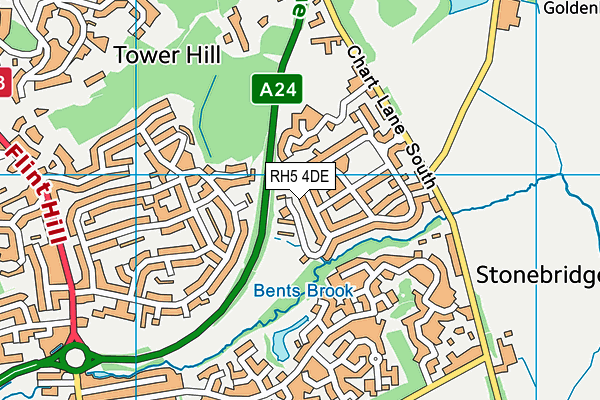 RH5 4DE map - OS VectorMap District (Ordnance Survey)