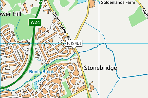 RH5 4DJ map - OS VectorMap District (Ordnance Survey)