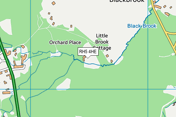 RH5 4HE map - OS VectorMap District (Ordnance Survey)