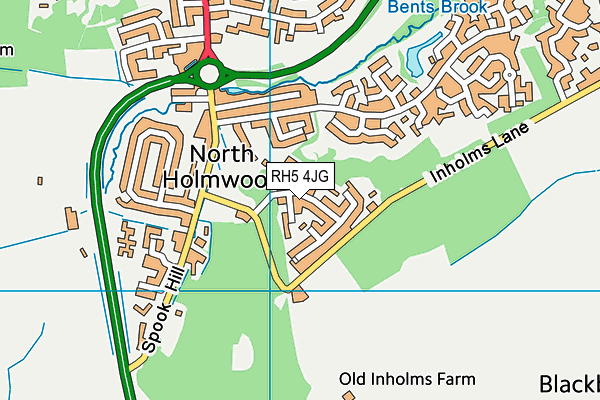 RH5 4JG map - OS VectorMap District (Ordnance Survey)