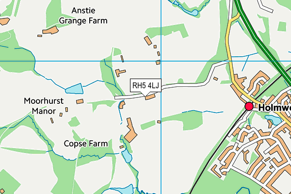 RH5 4LJ map - OS VectorMap District (Ordnance Survey)