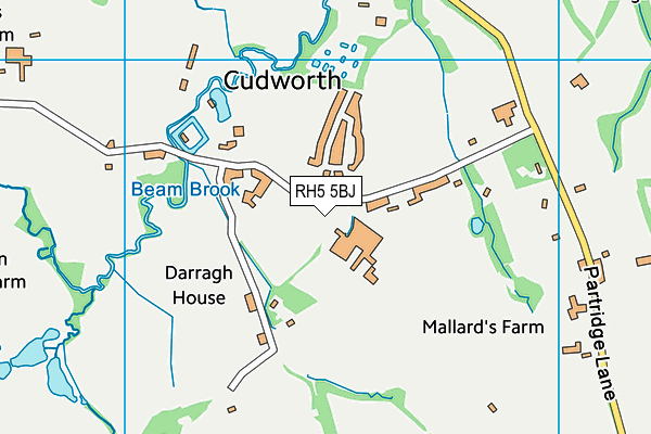 RH5 5BJ map - OS VectorMap District (Ordnance Survey)