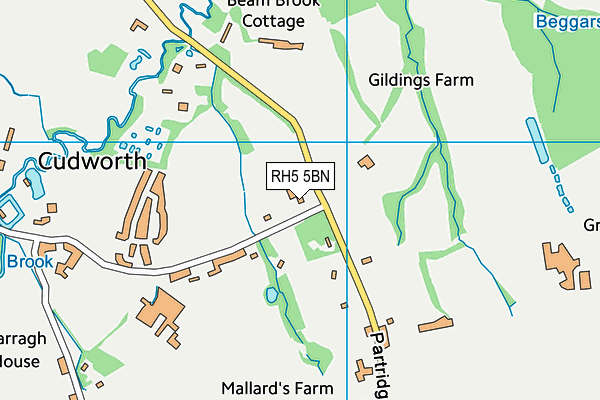 RH5 5BN map - OS VectorMap District (Ordnance Survey)