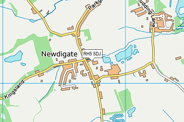 Newdigate CofE Endowed Aided Infant School map (RH5 5DJ) - OS VectorMap District (Ordnance Survey)