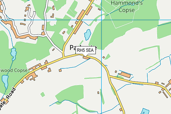 RH5 5EA map - OS VectorMap District (Ordnance Survey)