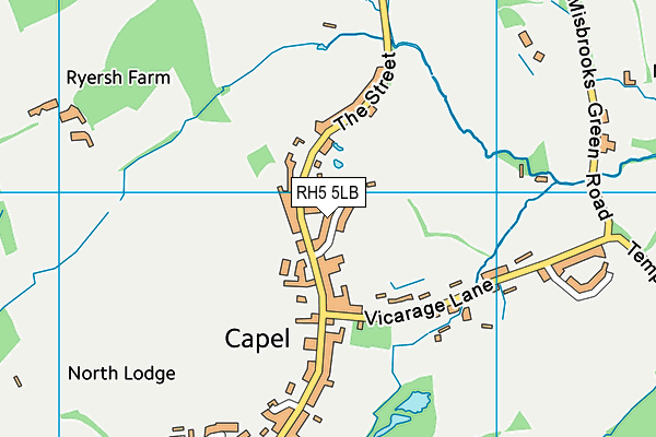 Capel Recreation Ground map (RH5 5LB) - OS VectorMap District (Ordnance Survey)