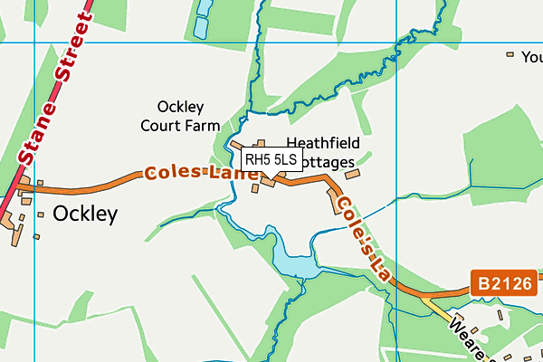 RH5 5LS map - OS VectorMap District (Ordnance Survey)