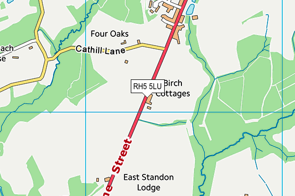 RH5 5LU map - OS VectorMap District (Ordnance Survey)