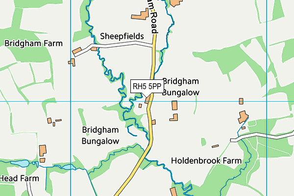 RH5 5PP map - OS VectorMap District (Ordnance Survey)