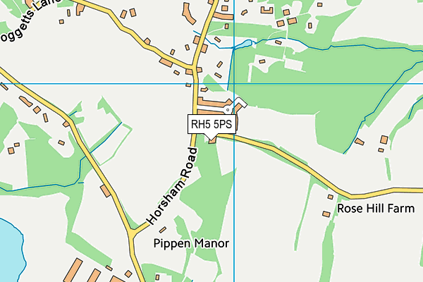 RH5 5PS map - OS VectorMap District (Ordnance Survey)