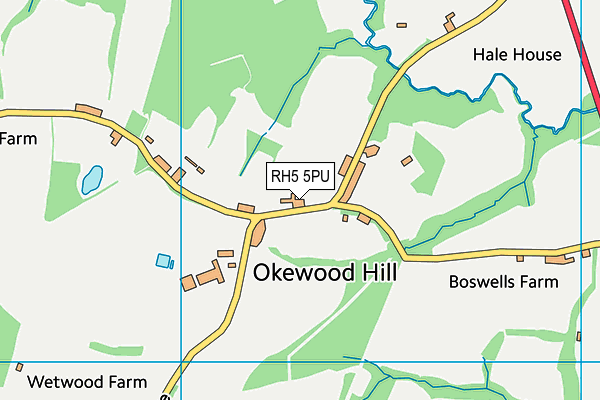 RH5 5PU map - OS VectorMap District (Ordnance Survey)