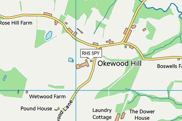 Oakwood Hill Cricket Club map (RH5 5PY) - OS VectorMap District (Ordnance Survey)