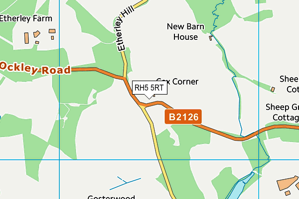 RH5 5RT map - OS VectorMap District (Ordnance Survey)