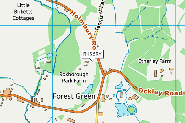 RH5 5RY map - OS VectorMap District (Ordnance Survey)