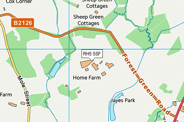 RH5 5SF map - OS VectorMap District (Ordnance Survey)