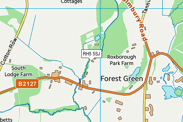 RH5 5SJ map - OS VectorMap District (Ordnance Survey)