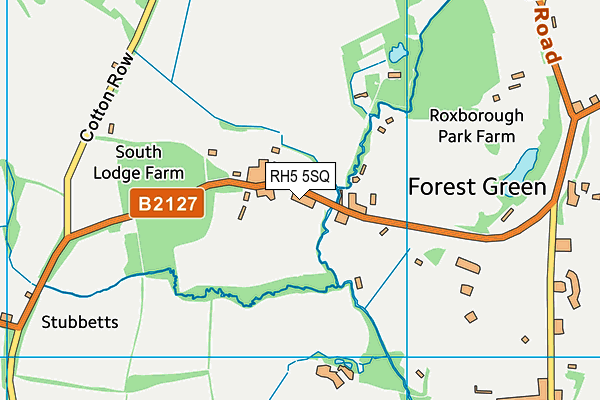 RH5 5SQ map - OS VectorMap District (Ordnance Survey)