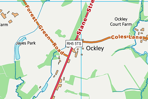 RH5 5TS map - OS VectorMap District (Ordnance Survey)