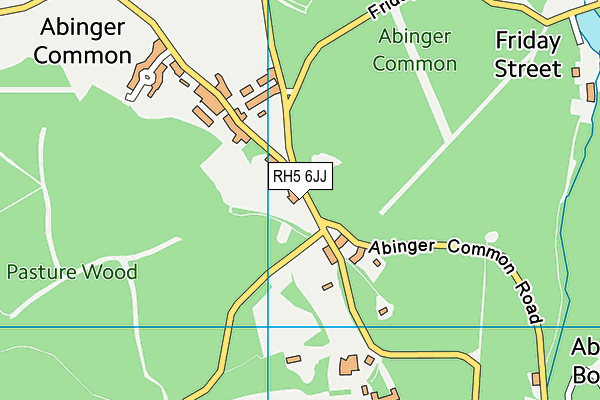 RH5 6JJ map - OS VectorMap District (Ordnance Survey)