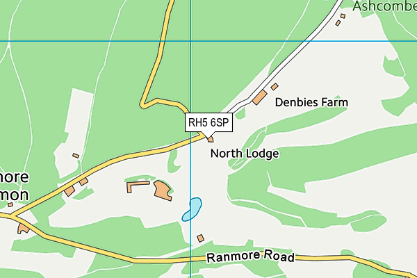 RH5 6SP map - OS VectorMap District (Ordnance Survey)