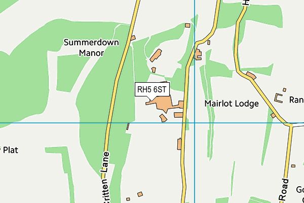 St Teresas School map (RH5 6ST) - OS VectorMap District (Ordnance Survey)