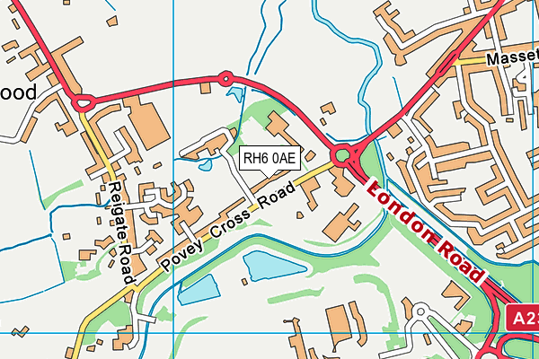 RH6 0AE map - OS VectorMap District (Ordnance Survey)