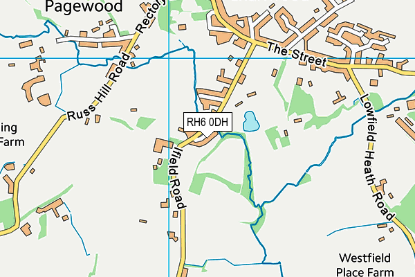 RH6 0DH map - OS VectorMap District (Ordnance Survey)