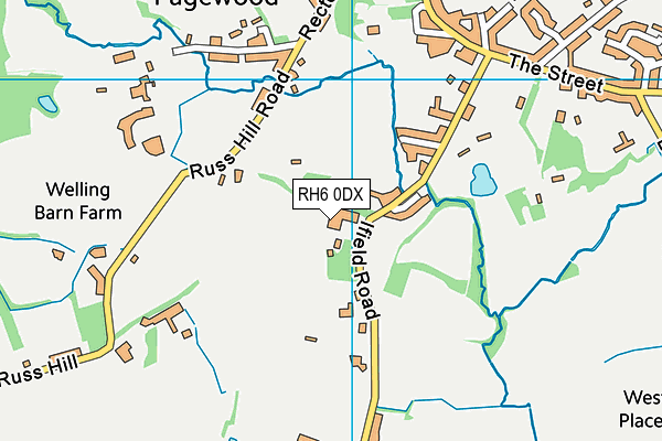 RH6 0DX map - OS VectorMap District (Ordnance Survey)