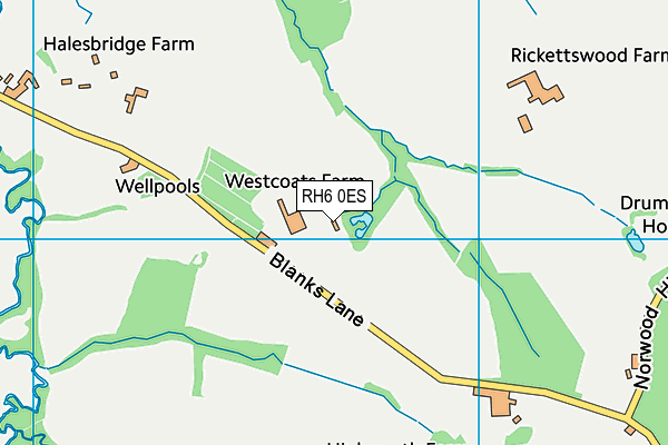 RH6 0ES map - OS VectorMap District (Ordnance Survey)