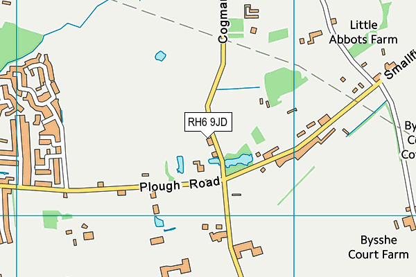 RH6 9JD map - OS VectorMap District (Ordnance Survey)