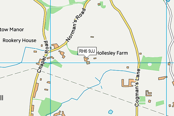 RH6 9JJ map - OS VectorMap District (Ordnance Survey)