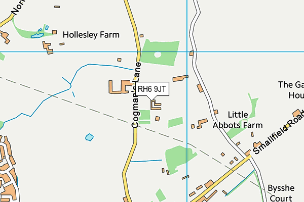 RH6 9JT map - OS VectorMap District (Ordnance Survey)