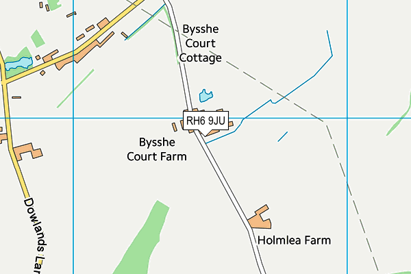 RH6 9JU map - OS VectorMap District (Ordnance Survey)