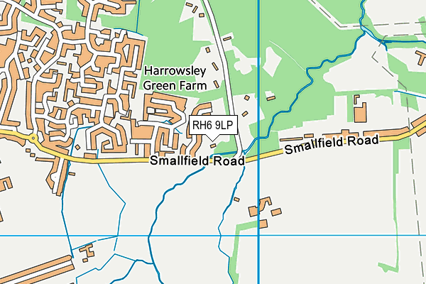 RH6 9LP map - OS VectorMap District (Ordnance Survey)