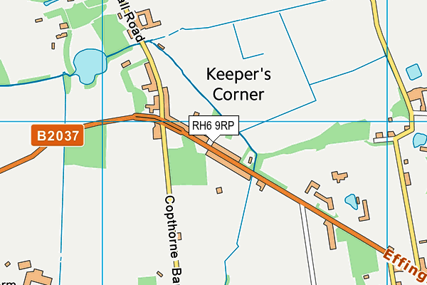 RH6 9RP map - OS VectorMap District (Ordnance Survey)