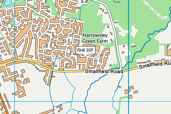 RH6 9SF map - OS VectorMap District (Ordnance Survey)