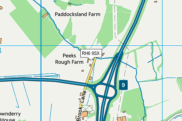 RH6 9SX map - OS VectorMap District (Ordnance Survey)