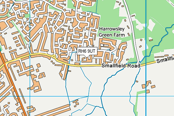 RH6 9UT map - OS VectorMap District (Ordnance Survey)