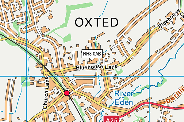 Oxted School map (RH8 0AB) - OS VectorMap District (Ordnance Survey)