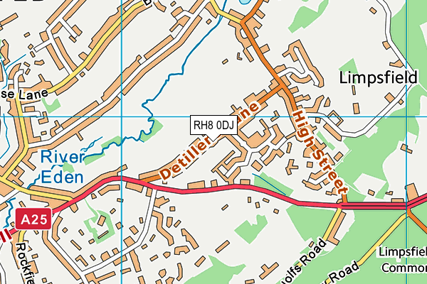 RH8 0DJ map - OS VectorMap District (Ordnance Survey)