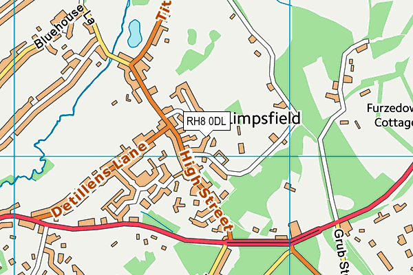 RH8 0DL map - OS VectorMap District (Ordnance Survey)