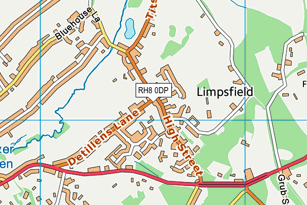 RH8 0DP map - OS VectorMap District (Ordnance Survey)