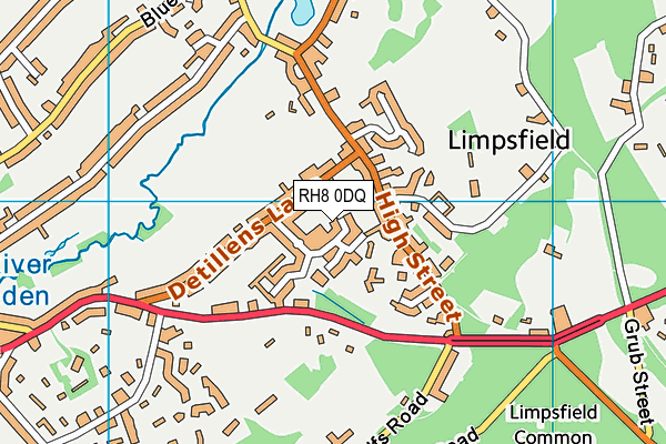 RH8 0DQ map - OS VectorMap District (Ordnance Survey)