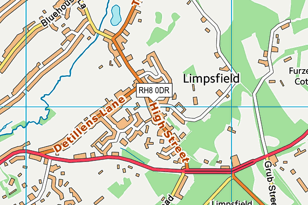 RH8 0DR map - OS VectorMap District (Ordnance Survey)